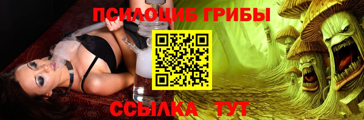 как найти закладки  Псилоцибиновые грибы Psilocybine cubensis  Кстово  Вход с VPN  Псилоцибиновые грибы Magic Shrooms 